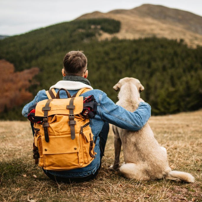 Tips on choosing the best backpack/messenger bag--Woosir