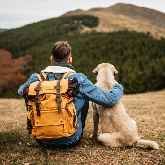 Tips on choosing the best backpack/messenger bag--Woosir