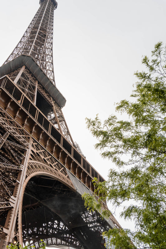 Low angle view of the Eiffel Tower with green trees in Paris, travel landmark