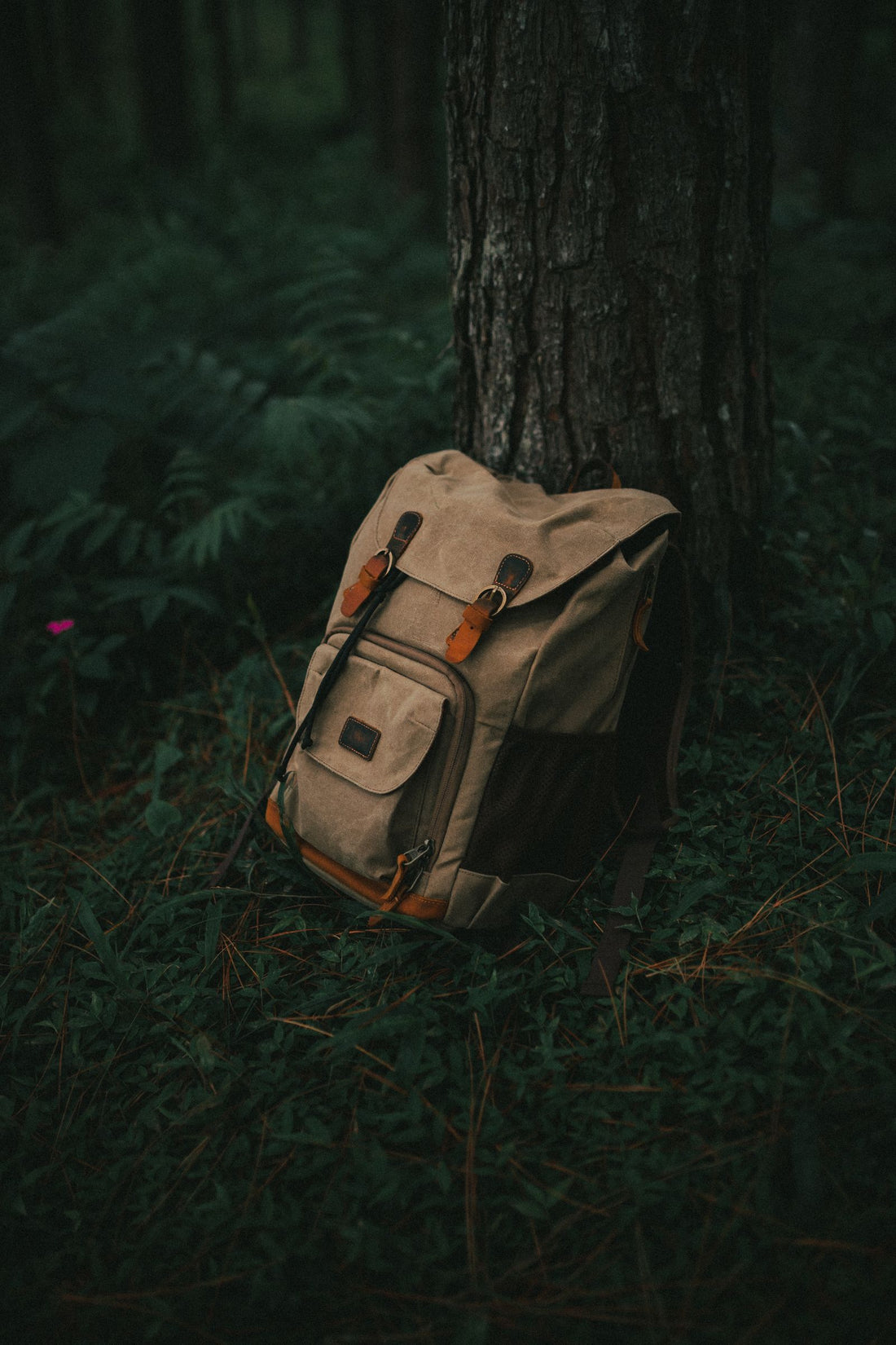 Waxed canvas backpack leaning against a forest tree, built for waterproof durability